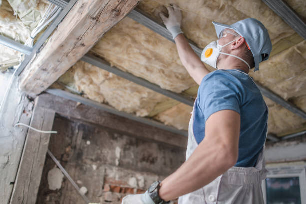 Best Blown-in Insulation in Bruceton, TN