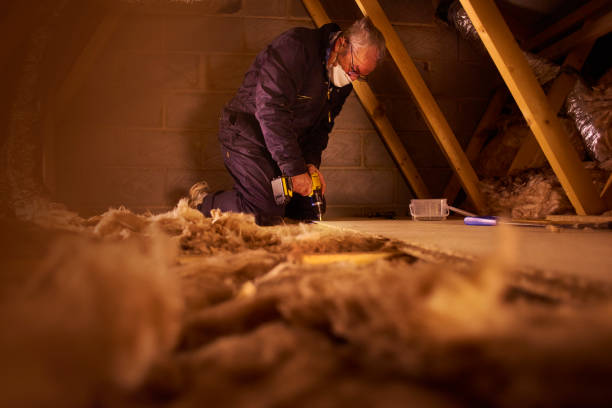 Best Geographic-Specific Insulation Services in Bruceton, TN